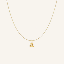 Load image into Gallery viewer, Letter Necklace
